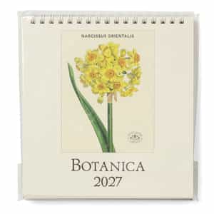 CAVALLINI ＜カヴァリーニ＞ 2027年デスクカレンダー “BOTANICA“