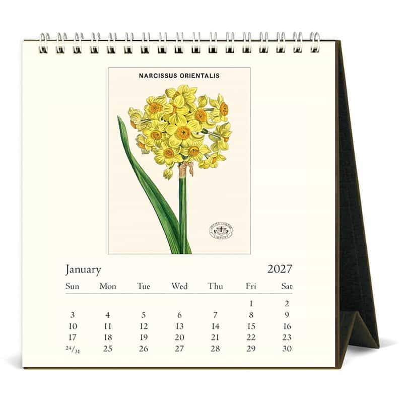 CAVALLINI CAVALLINI ＜カヴァリーニ＞ 2027年デスクカレンダー “BOTANICA“ NONE