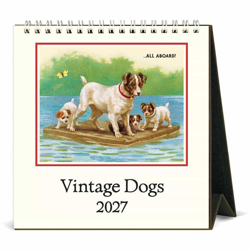 CAVALLINI CAVALLINI ＜カヴァリーニ＞ 2027年デスクカレンダー “Vintage Dogs“ NONE