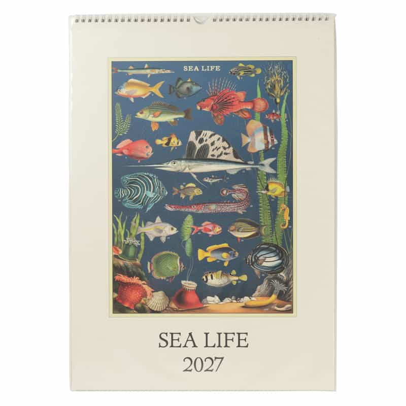 CAVALLINI CAVALLINI ＜カヴァリーニ＞ 2027年壁掛けカレンダー “SEA LIFE“ NONE