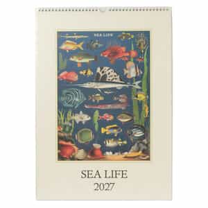 CAVALLINI ＜カヴァリーニ＞ 2027年壁掛けカレンダー “SEA LIFE“