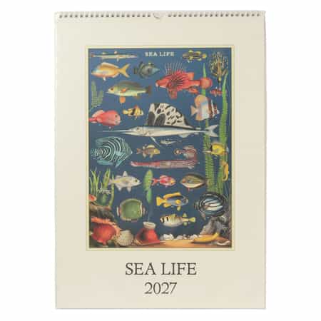 CAVALLINI ＜カヴァリーニ＞ 2027年壁掛けカレンダー “SEA LIFE“