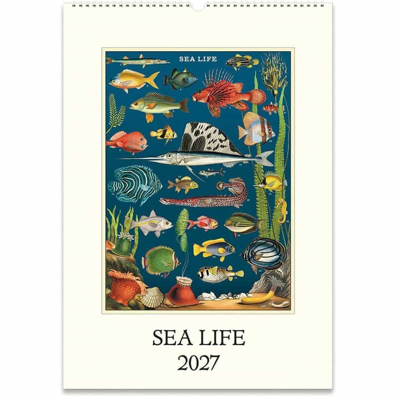 CAVALLINI CAVALLINI ＜カヴァリーニ＞ 2027年壁掛けカレンダー “SEA LIFE“ NONE