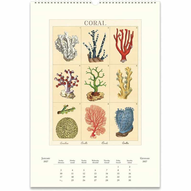 CAVALLINI CAVALLINI ＜カヴァリーニ＞ 2027年壁掛けカレンダー “SEA LIFE“ NONE