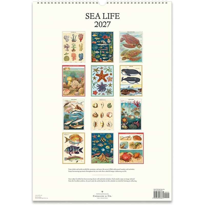 CAVALLINI CAVALLINI ＜カヴァリーニ＞ 2027年壁掛けカレンダー “SEA LIFE“ NONE