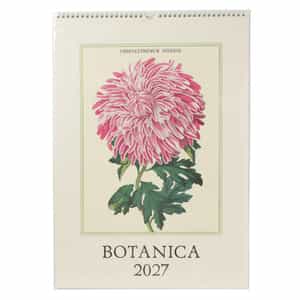 CAVALLINI ＜カヴァリーニ＞ 2027年壁掛けカレンダー “BOTANICA“
