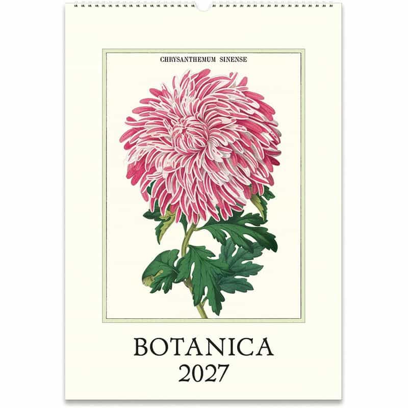 CAVALLINI CAVALLINI ＜カヴァリーニ＞ 2027年壁掛けカレンダー “BOTANICA“ NONE