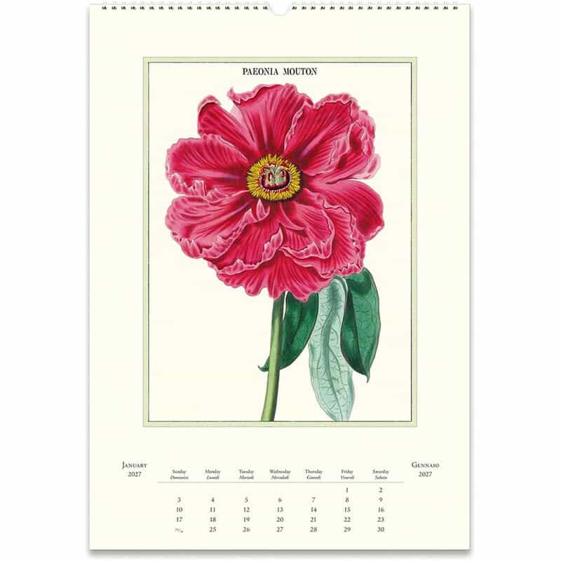 CAVALLINI CAVALLINI ＜カヴァリーニ＞ 2027年壁掛けカレンダー “BOTANICA“ NONE