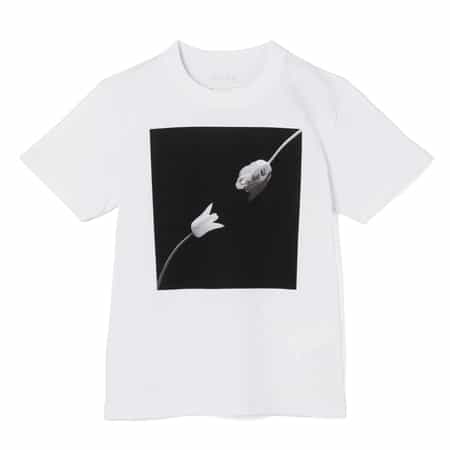 SACAI ＜サカイ＞ プリントTシャツ