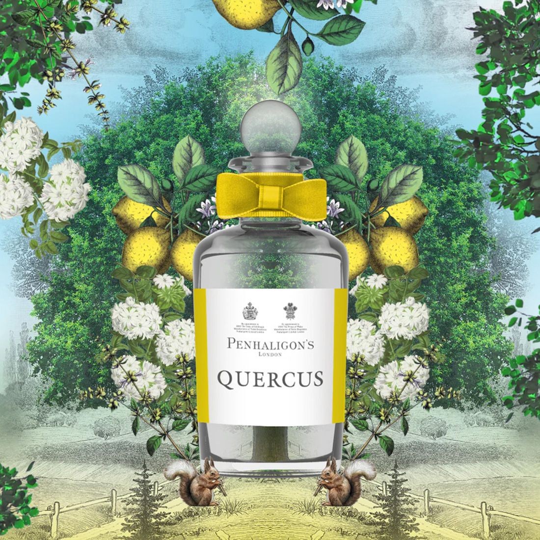 ペンハリガン コロン “クァーカス” 30ml(2155531)｜PENHALIGON'S